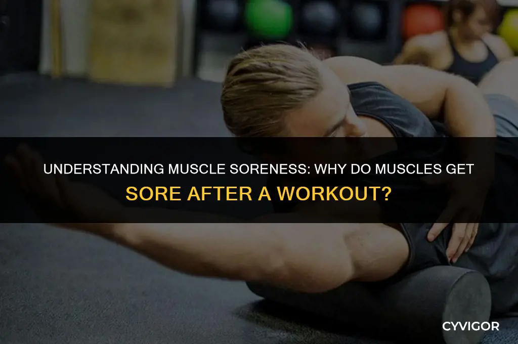 do muscles get sore after workout