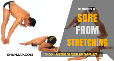 Debunking the Myth: Does Stretching Really Cause Muscle Soreness?