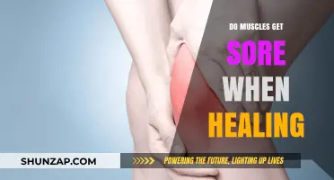 Understanding Muscle Soreness: The Healing Process Unveiled