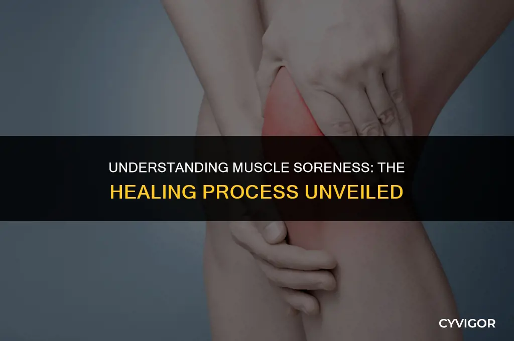 do muscles get sore when healing