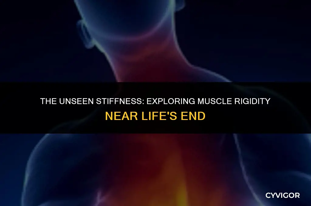 The Unseen Stiffness: Exploring Muscle Rigidity Near Life's End | CyVigor