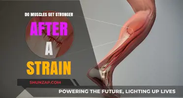 Rebuilding Strength: The Journey of Muscle Recovery Post-Strain