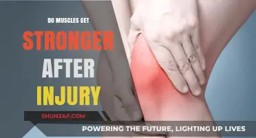 Rebuilding Strength: The Journey to Stronger Muscles Post-Injury