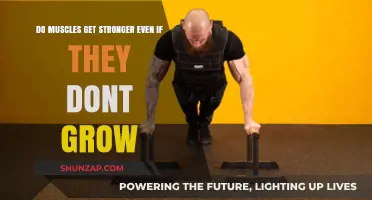 Strength Beyond Size: The Truth About Muscle Growth and Power