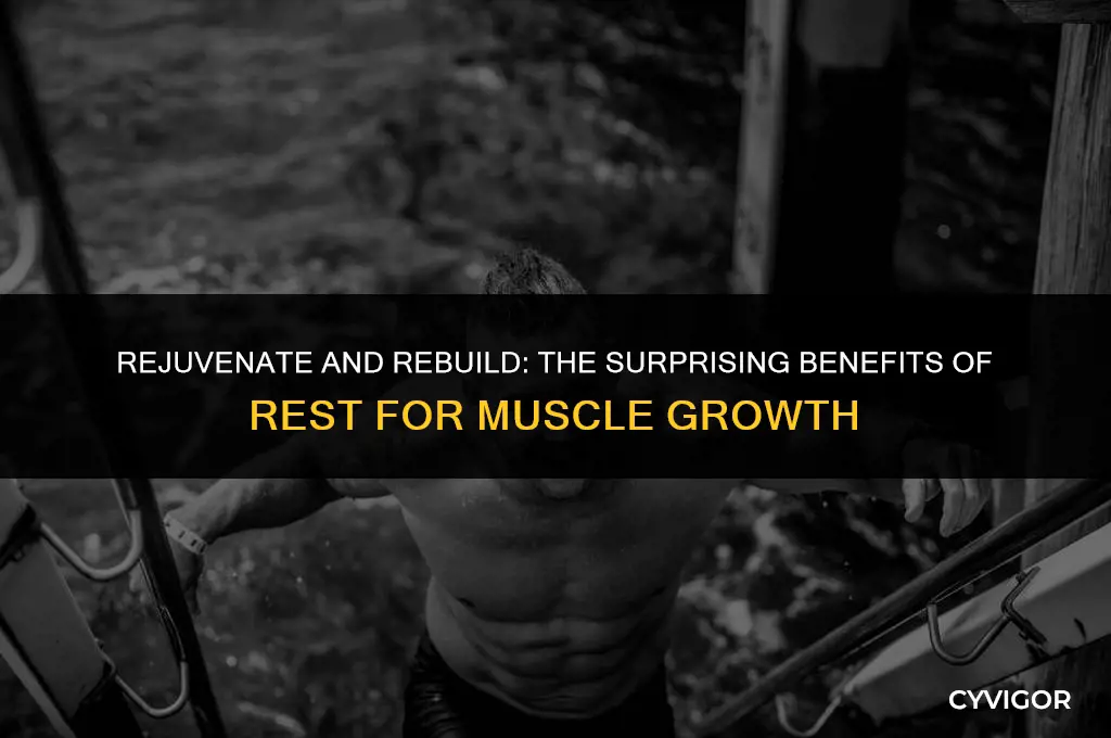 do muscles get stronger faster after breaks