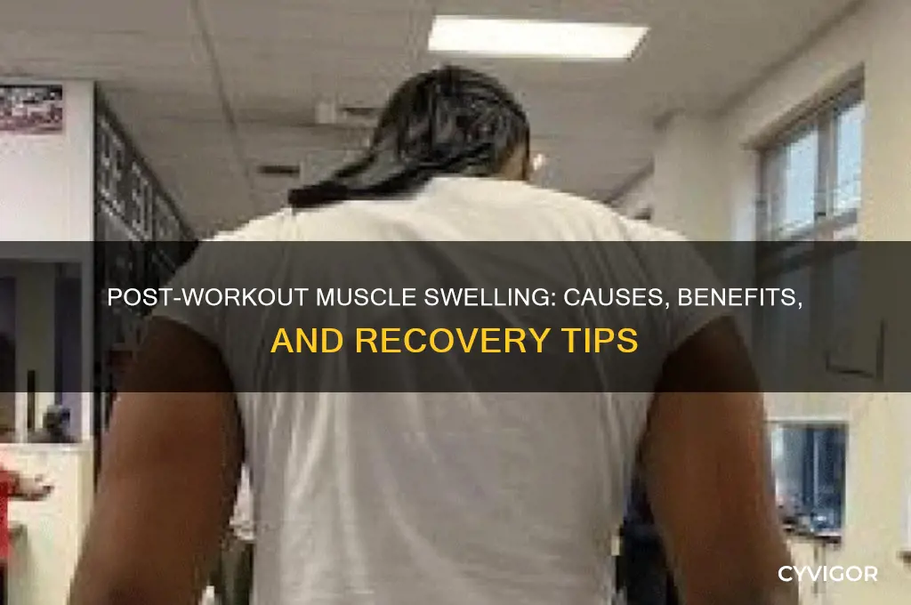 do muscles get swollen after working out