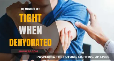 Hydration and Muscle Health: Understanding the Connection