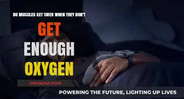 Unleashing Muscle Potential: The Oxygen Connection