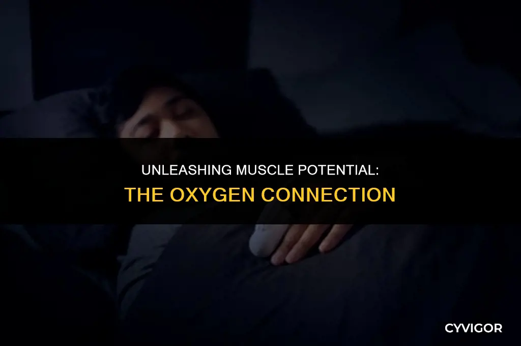 do muscles get tired when they don
