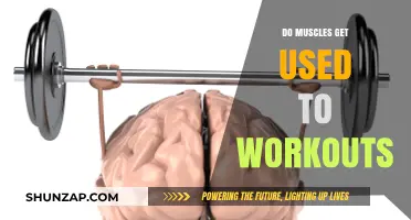 Muscle Memory: The Truth About Adaptation to Workouts