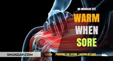Understanding Muscle Warmth and Soreness: A Comprehensive Guide