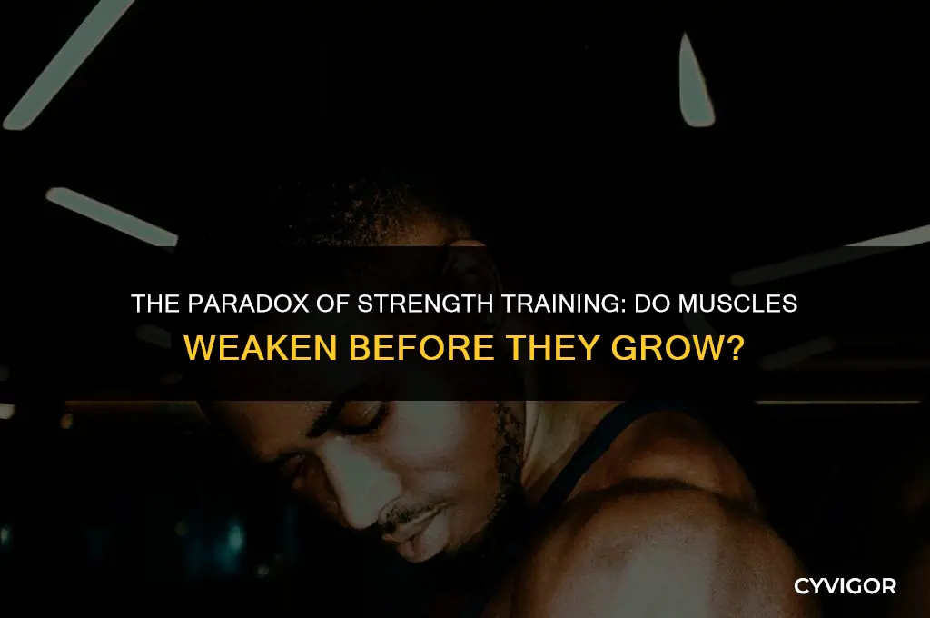 do muscles get weaker before they get stronger