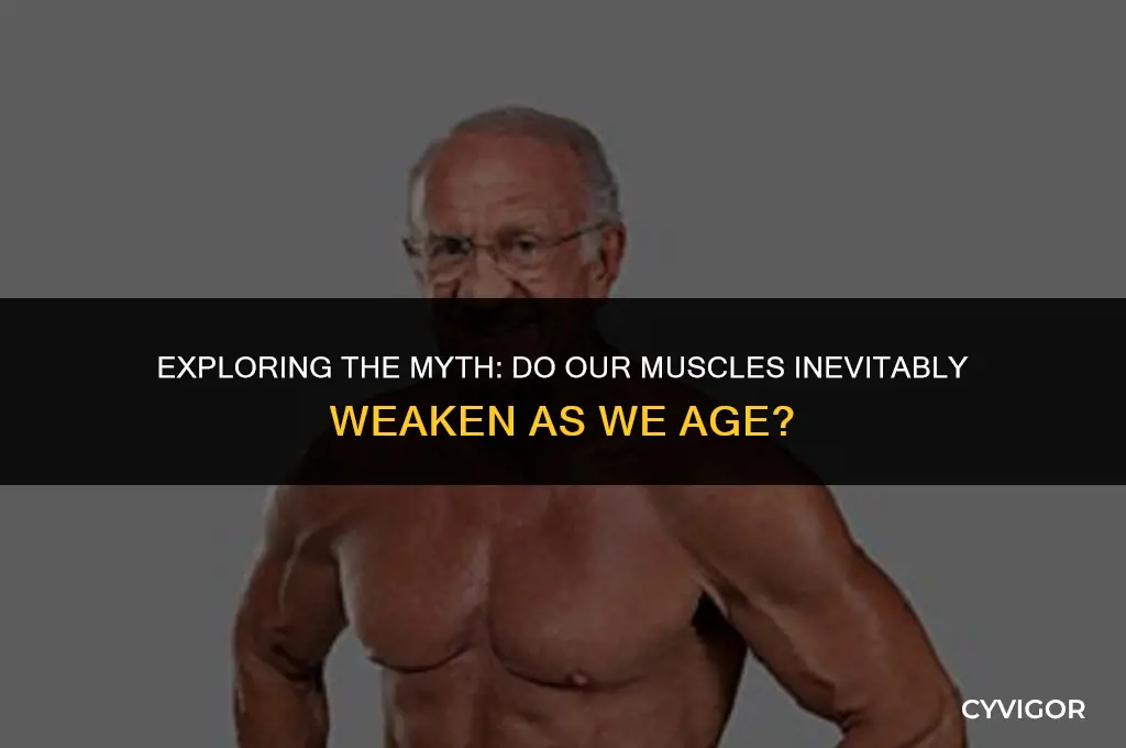 do muscles get weaker with age