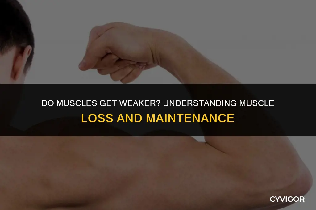do muscles get weaker