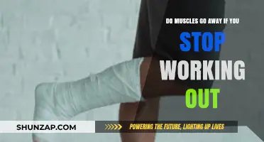Muscle Loss After Stopping Workouts: What Really Happens?