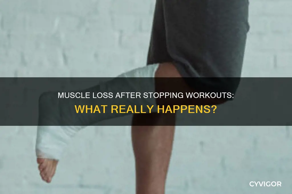 do muscles go away if you stop working out