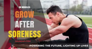 Muscle Growth Post-Soreness: Unraveling the Connection and Recovery Process