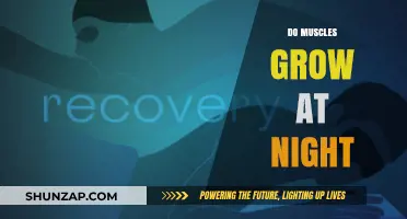 Muscle Growth Secrets: Unlocking Nighttime Recovery for Optimal Results