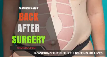 Rebuilding Strength: Muscle Regeneration Post-Surgical Procedures