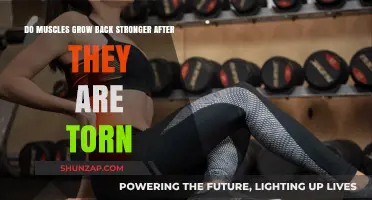 Rebuilding Strength: The Science Behind Muscle Recovery and Growth