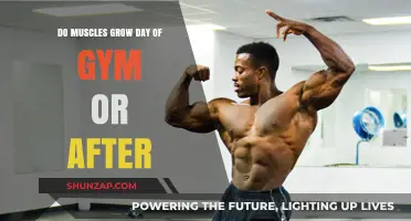 Muscle Growth Mystery: When Do Muscles Actually Grow Post-Workout?