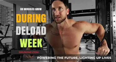 Muscle Growth During Deload Week: Fact or Fiction?