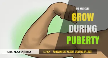 Muscle Growth During Puberty: Understanding Hormonal Changes and Development
