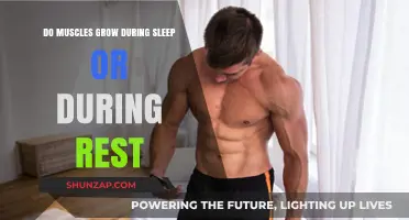 Muscle Growth Secrets: Sleep vs. Rest for Optimal Recovery
