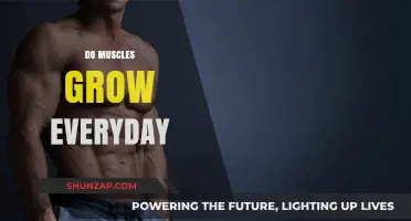 Do Muscles Grow Daily? Unveiling the Truth Behind Muscle Growth