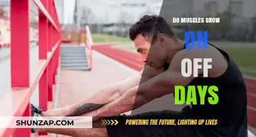 Muscle Growth on Rest Days: Unlocking the Science of Recovery