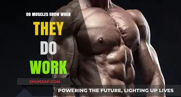 Muscle Growth Explained: How Work Stimulates Strength and Size