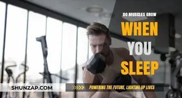 Sleep and Muscle Growth: Unlocking the Overnight Recovery Secrets