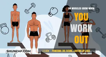 How Working Out Triggers Muscle Growth: Science Behind Strength Training