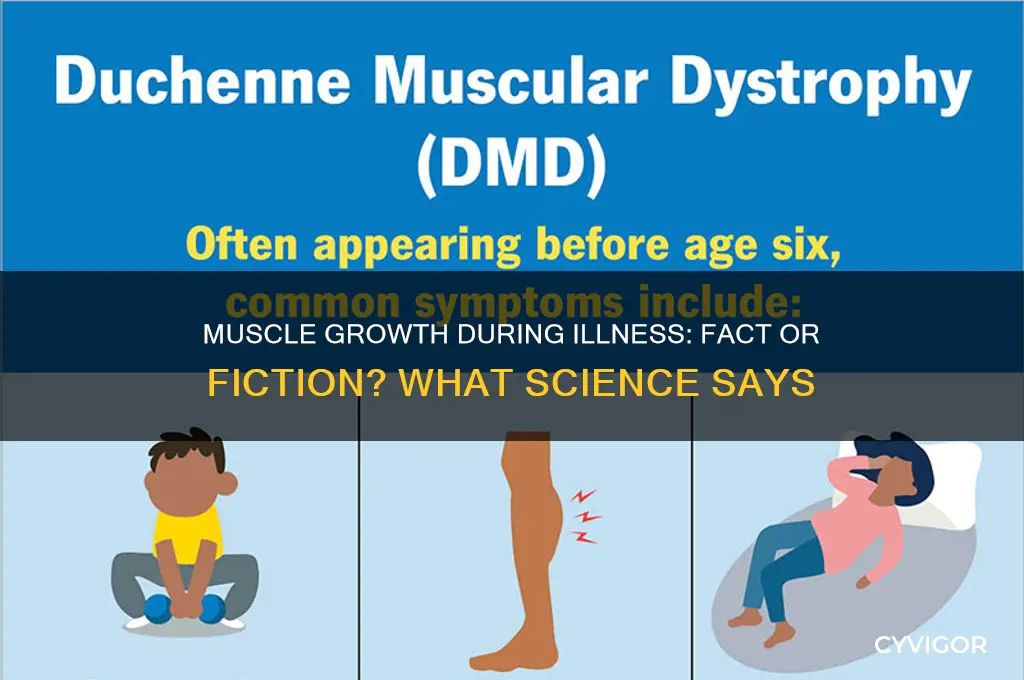 do muscles grow when you