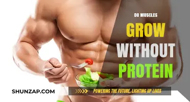 Muscle Growth Without Protein: Fact or Fitness Myth?