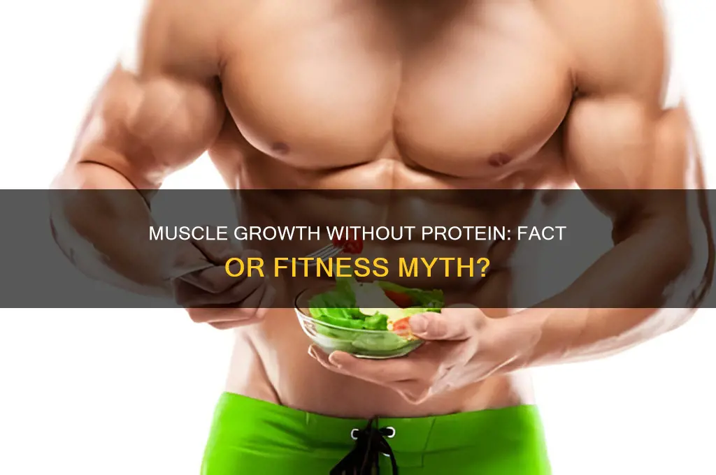 do muscles grow without protein