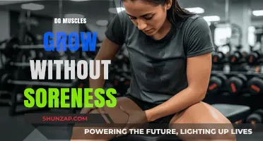 Muscle Growth Without Soreness: Fact or Fitness Myth?