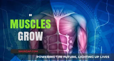 How Muscles Grow: Unlocking the Science of Strength and Size