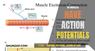 Muscle Action Potentials: Understanding the Science