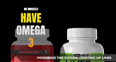 Muscle Health and Omega-3: What's the Connection?