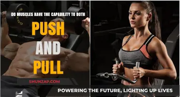 Muscles' Dual Function: Understanding Their Push and Pull Capabilities