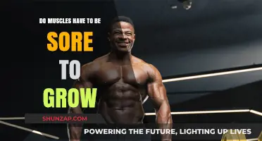 Muscle Growth Without Soreness: Fact or Fitness Myth?