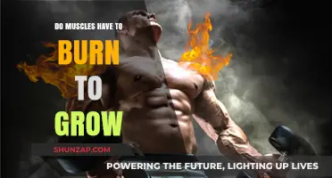 Muscle Growth Without the Burn: Fact or Fitness Myth?