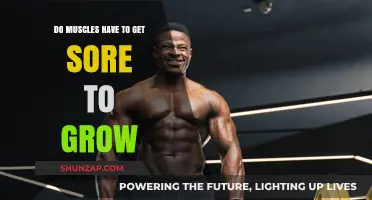 Debunking the Myth: Muscle Soreness and Growth Explained
