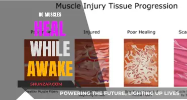 Muscle Healing: Asleep or Awake, What's the Truth?