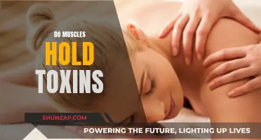 Muscle Toxins: Fact or Fiction?