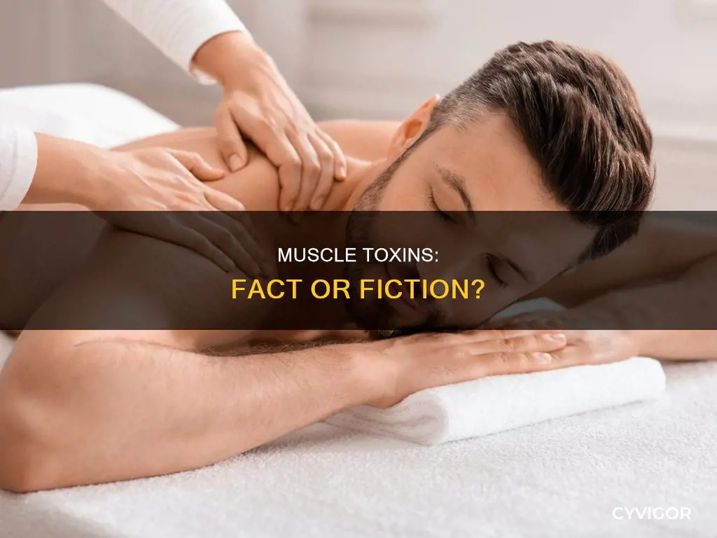 do muscles hold toxins
