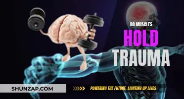 Unlocking Trauma: The Mind-Muscle Connection