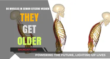 Aging and Muscle Health: Understanding the Changes in Senior Citizens