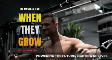 Muscle Growth Itch: Understanding the Sensation Behind Growing Muscles